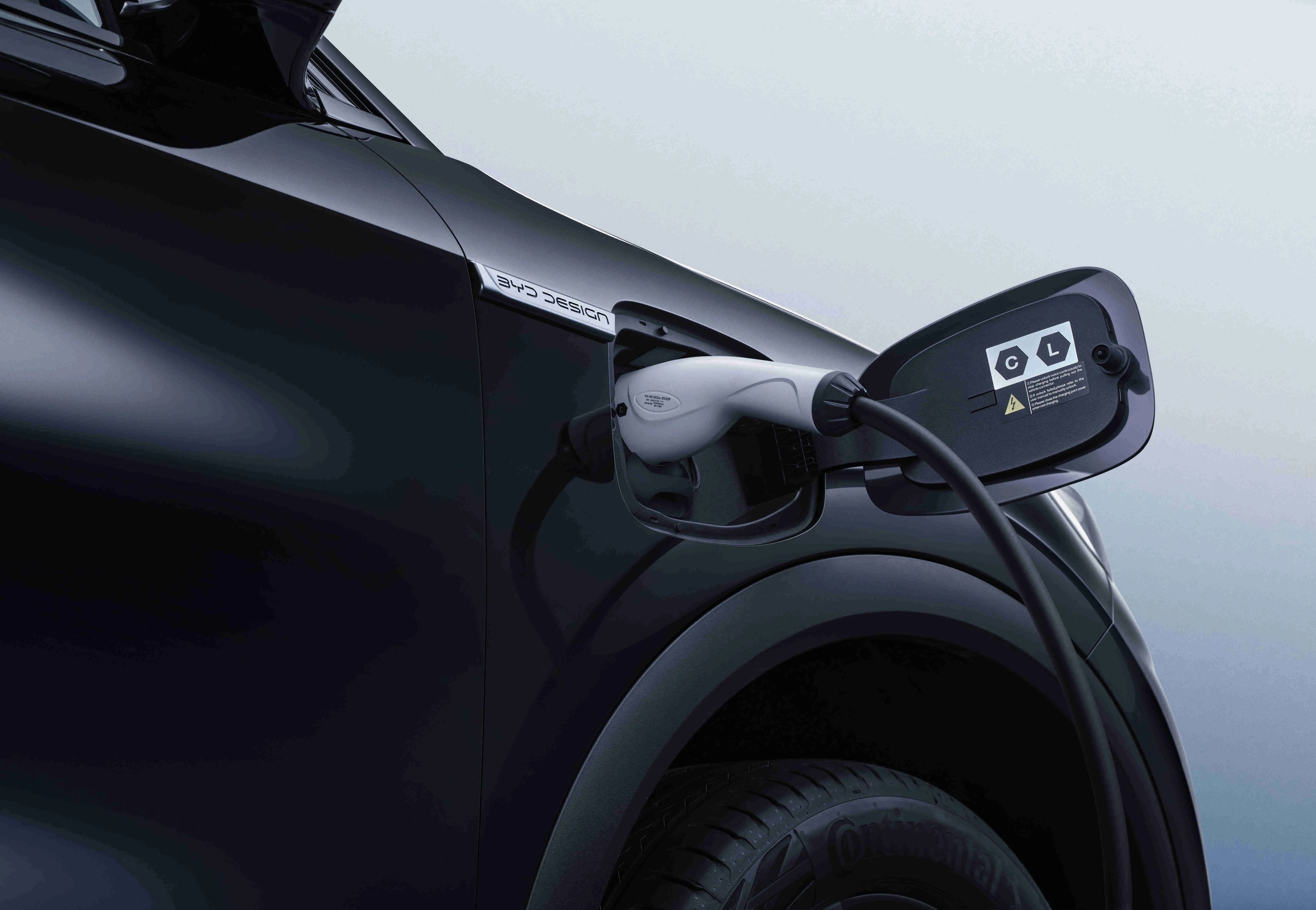 Byd Atto 3 - Image 4